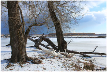 В деревне зимой / Деревня Лягушино Челябинской области