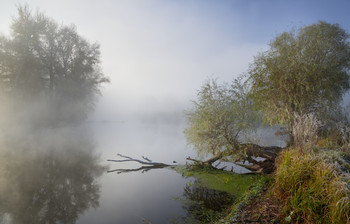 В пелене тумана / Осень 2020. Река Северский Донец.