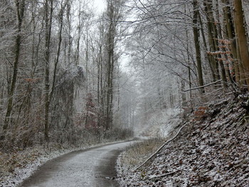 &nbsp; / Etwas Schnee macht den Waldspaziergang schöner ..