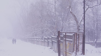 Метель / В Крыму зимняя погода непредсказуема.После чистого солнечного дня утром тебя встретит метель...