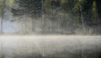 Утро на озере.......... / Петербург-Юкки. Август
