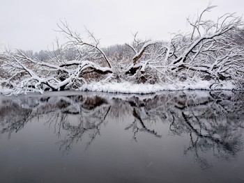 Снежная тайна / Отражения ветвей деревьев в воде зимней реки, снегопад