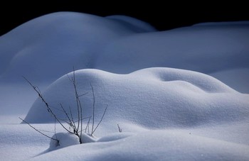 Снежная тайна / Под снежным покрывалом января