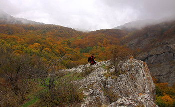 На склонах Демирджи / Крым. Демирджи. Осень