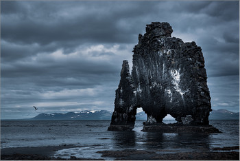 Чудеса природы... / Исландия, Хвитсеркюр (исл. Hvítserkur — «белая рубашка») — базальтовая скала на восточном берегу полуострова Ватнснес на северо-западе Исландии