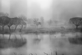 На озере туман. / ***