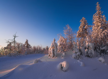 Утренний свет / Зима на Урале