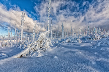 &nbsp; / Winter im Böhmerwald