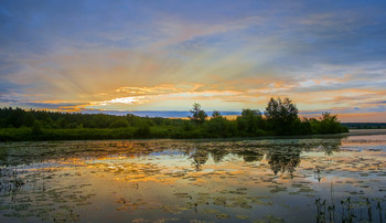 Летнее утро. / На озере Сосновое летний рассвет.