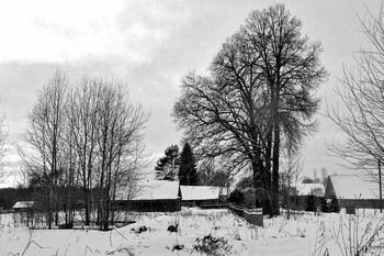 На деревню выпал снег... / Зима пришла и холода,
И ветер резкий и колючий.
А в небе тёмном как беда,
До горизонта глыба тучи.

Дым из трубы печной столбом,
К морозу — верная примета.
Заиндивел, седой весь дом,
А речка в панцирь льда одета.