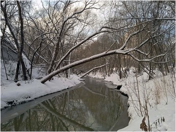 Река Сетунь в январе / Река Сетунь в черте Москвы зимой 2021 года
