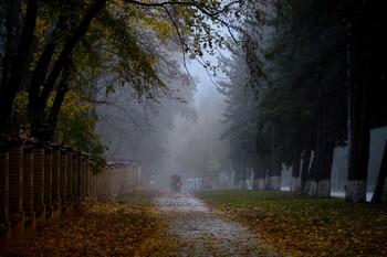 Утром дождливым..... / Железноводск. Октябрь