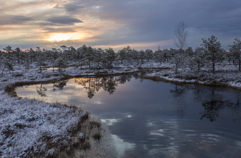 &nbsp; / Балтика