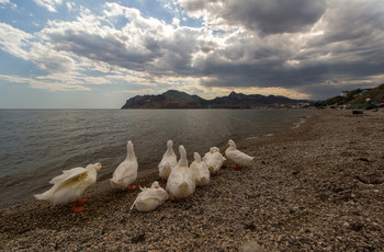 Крым... / Крым...