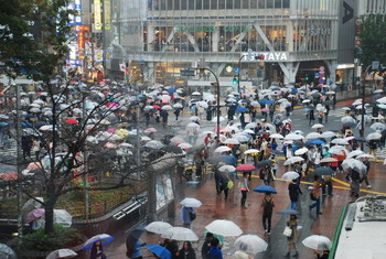 Пешеходы, переходы / Дождливый Токио.