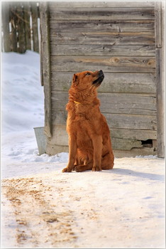 так я лучше смотрюсь?)) / ...позирует....)