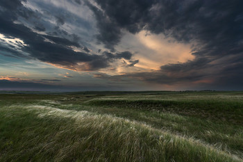 Степь да степь кругом... / ***