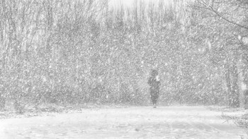 Ушла / Описание*