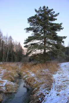 Первые морозы / Пушкинский район Московской области. Река Серебрянка
