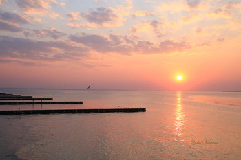 Розовый закат. / Балтийское море.