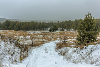 &nbsp; / По дороге в лощину с лесом. Утром зимним, когда туман. На рождество. Между пригорками, справа сосна, и сосновый лес вдали. А дальше за лесом полоса тумана. По дороге в лесную лощину.