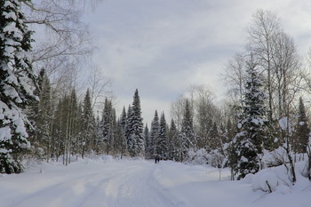 Воскресная прогулка в сибирской тайге / Укатанная снегоходами Буран дорога
 привлекает горожан на прогулку в тайге !