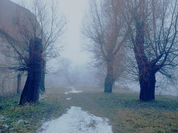 Таинственное / заброшенная часть парка в тумане, ноябрь, Минск.
