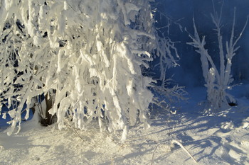 &nbsp; / сегодня уже потеплело и вся красота облетела...