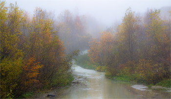 Туман и осень. / Хибины.