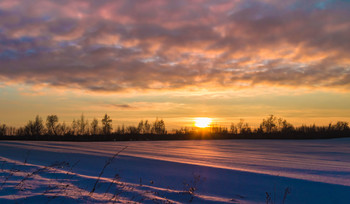 Пылало небо зимними закатами 2. / ...