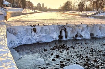 В морозных тисках / Крещенские морозы сковали даже водопад на реке Орлик и утки плавают в небольшой промоине.