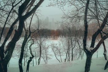 пейзажное настроение / вид на пруд перед Новодевичьим монастырем