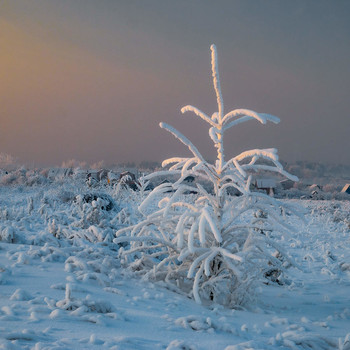 Зимний вечер / Зимний вечер в Кировской области