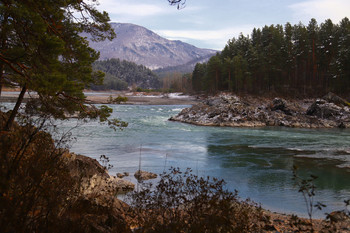 Катунь осенняя / ***