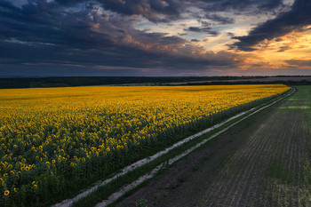 Вечер в июле / ***
