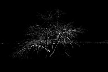 Оно / Описание*