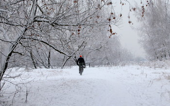 По снегу на велосипеде / Прогулка в парке.