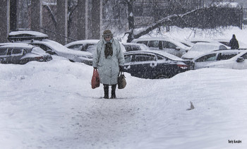 Снег / Вчера шел сильный снег в Москве