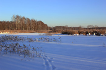 В ожидании заката / Зимой за час до заката природа начинает наполняться яркими красками, тени от деревьев вытягиваются, вычерчивая на снегу диагонали