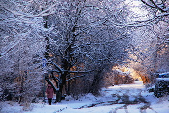 *Зимний рассвет** / Снег и солнечный рассвет не часто балуют. Приятно побродить с фотоаппаратом!