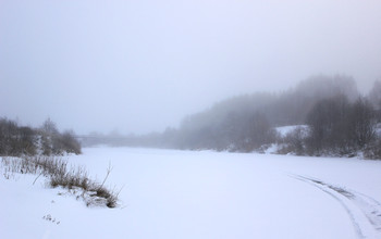 &nbsp; / Это конечно не Темза, но выглядит мистически. Река Нея, Костромская область