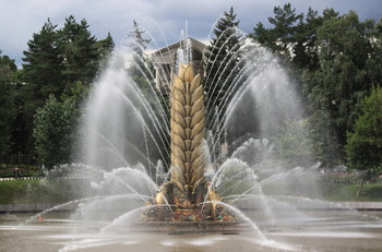 Золотой колос / Золотой колос