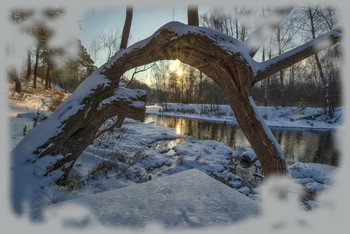 Творение природы / зима