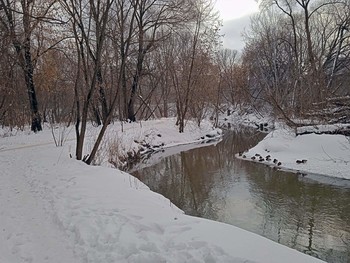 Сетунь в январе / Серенький день января на реке Сетунь