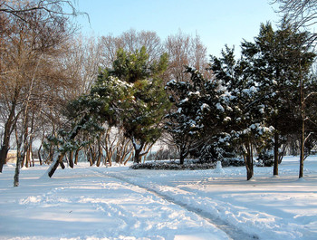 Приморский парк / Зима, снег, парк