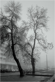 в тумане / [img]https://i.imgur.com/2sBIUyC.jpg[/img]