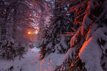 &nbsp; / Sonnenuntergang im Böhmerwald