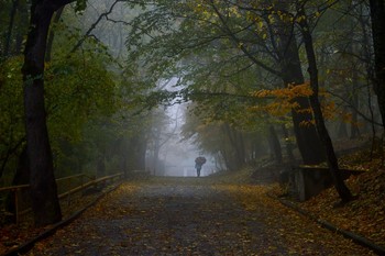 Утром дождливым..... / Железноводск. Октябрь