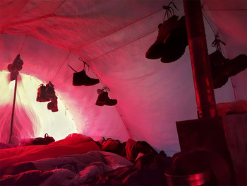 Розовые сны / Утро в зимней палатке