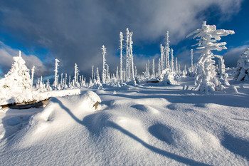 &nbsp; / Winterlandschaft im Böhmerwald